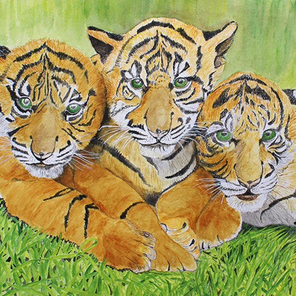 RH Tiger Cubs