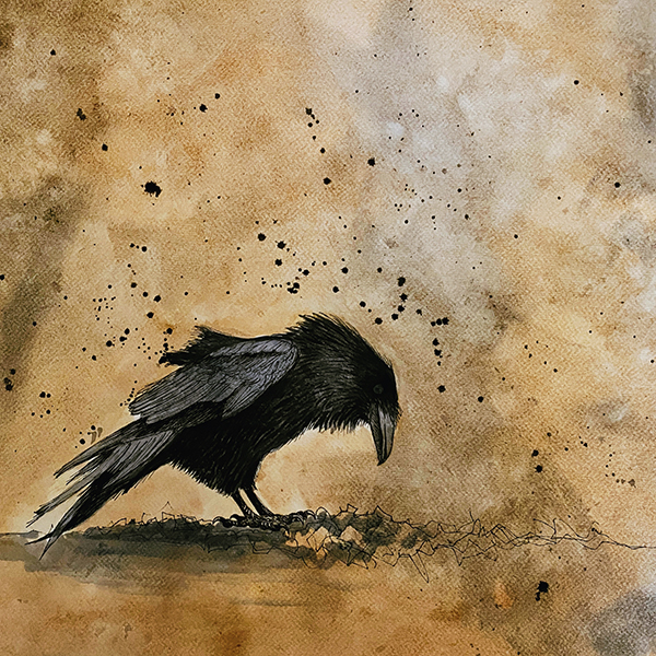 Tom Shapland - Raven